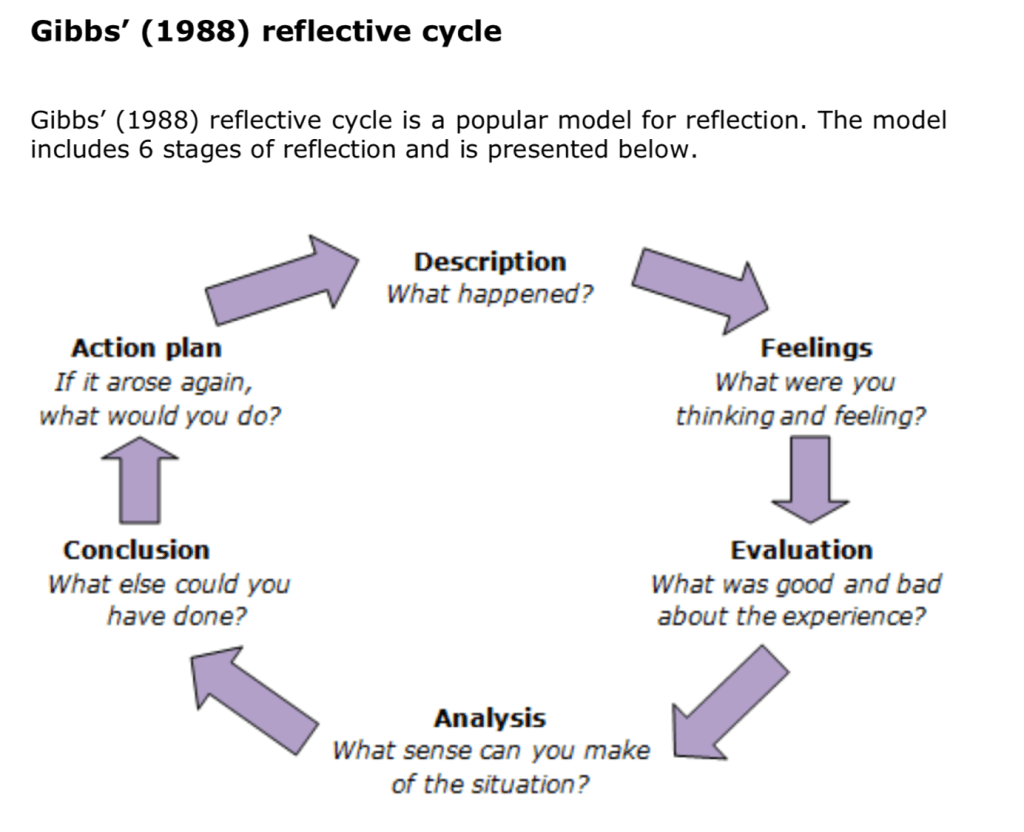 Reflective cycle van Gibbs